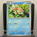 Goldeen 013/084