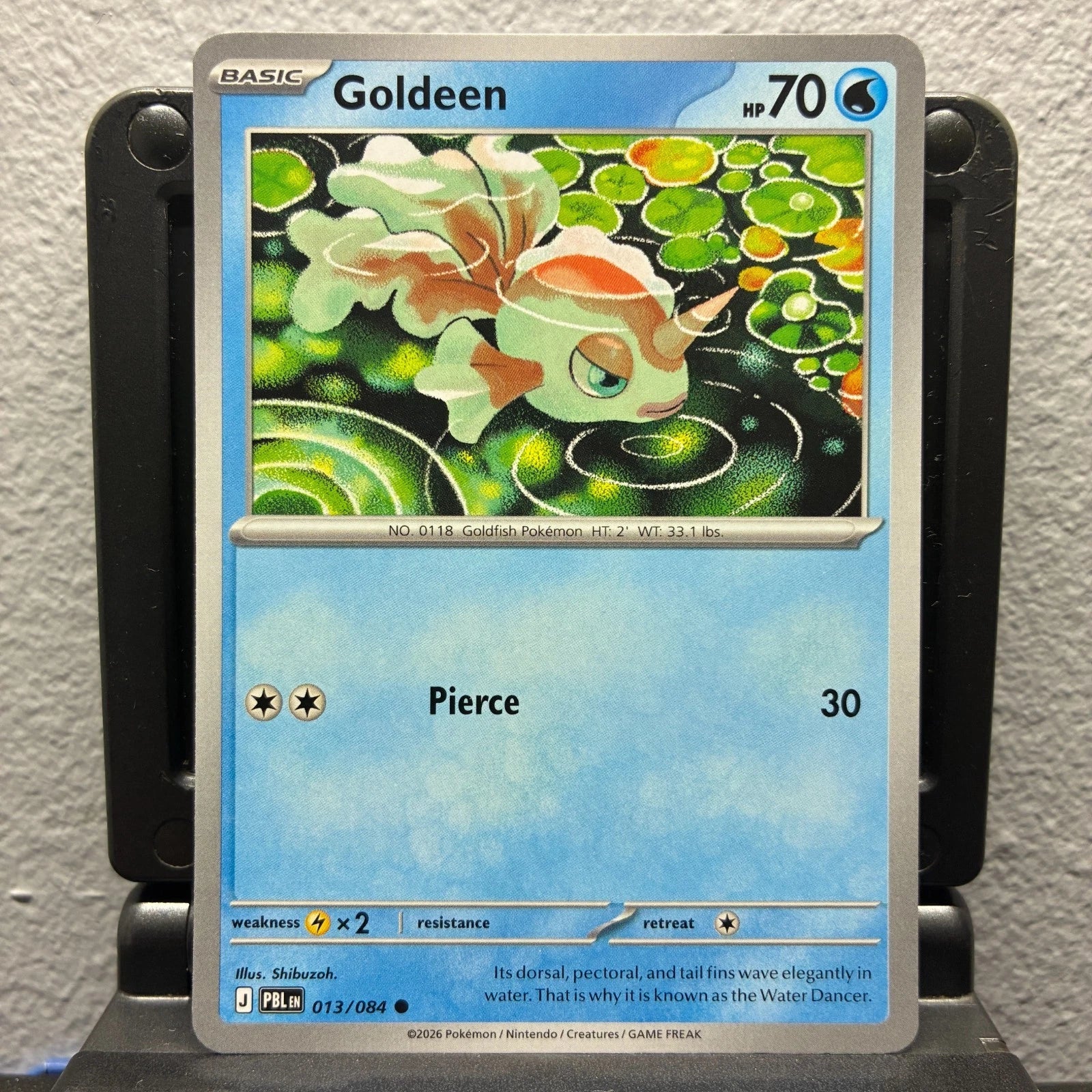 Goldeen 013/084